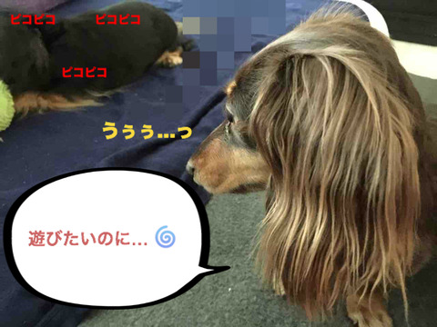 BlogPaint