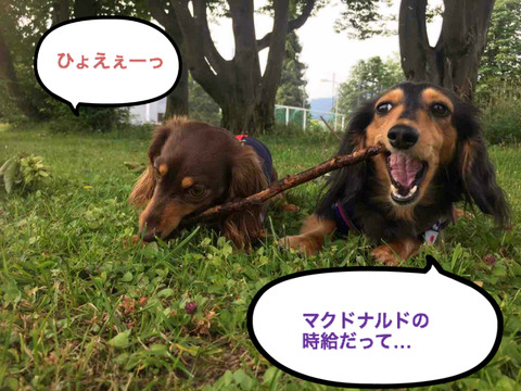 BlogPaint