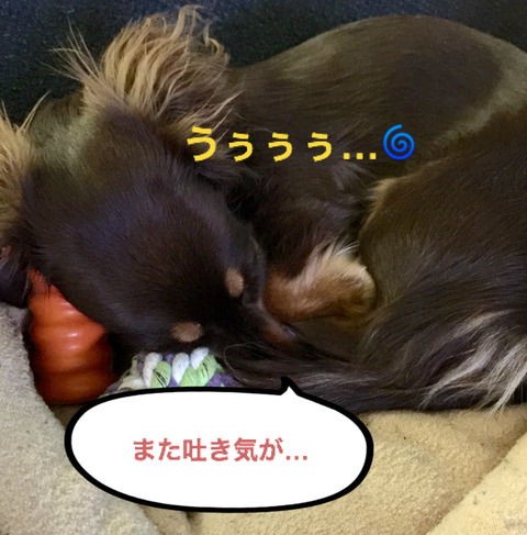 BlogPaint