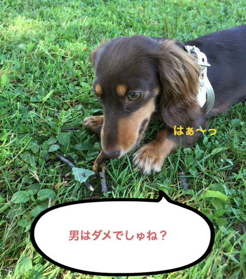 BlogPaint