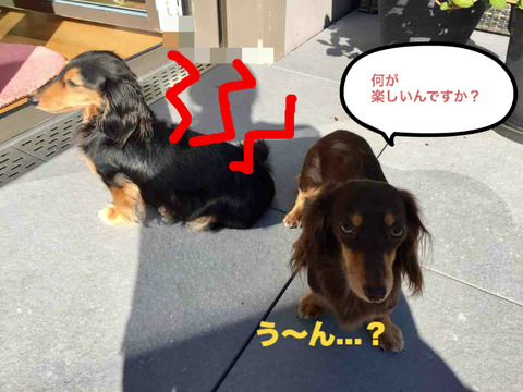 BlogPaint