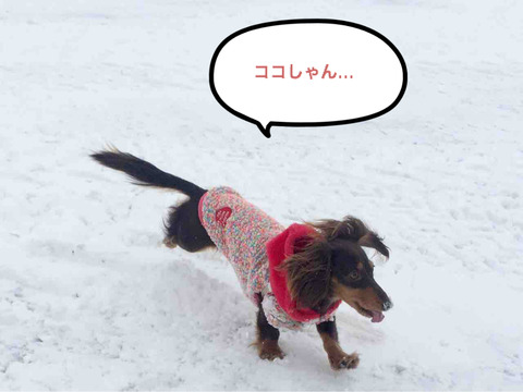 BlogPaint