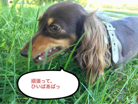 BlogPaint