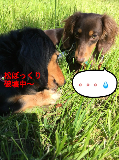 BlogPaint