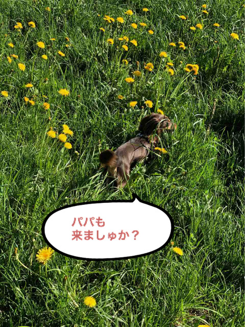 BlogPaint
