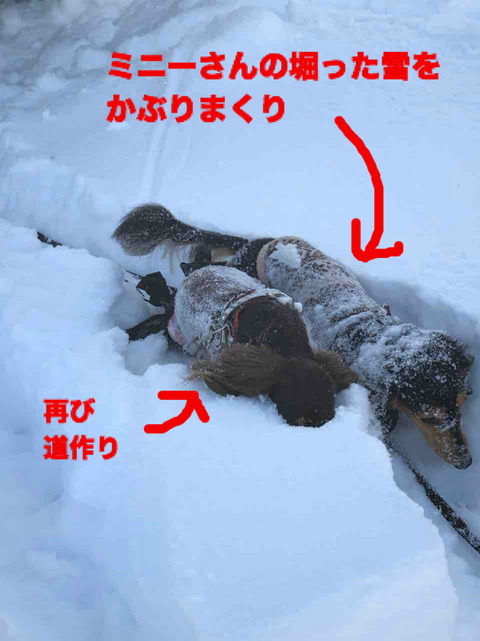 BlogPaint