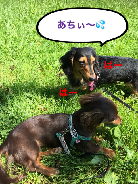 BlogPaint