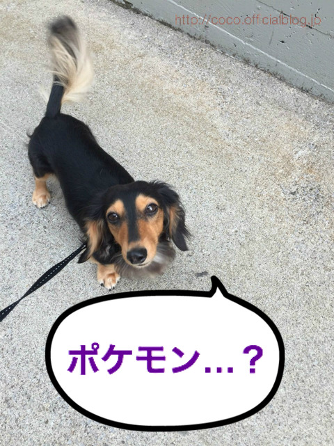 BlogPaint