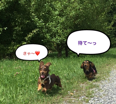 BlogPaint