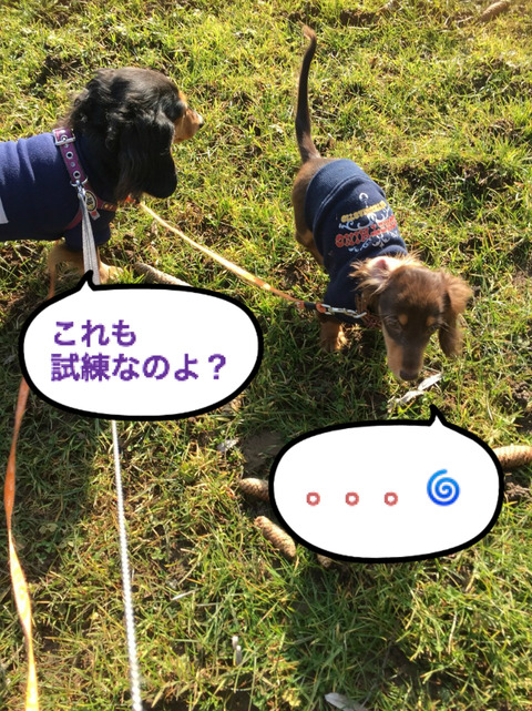 BlogPaint