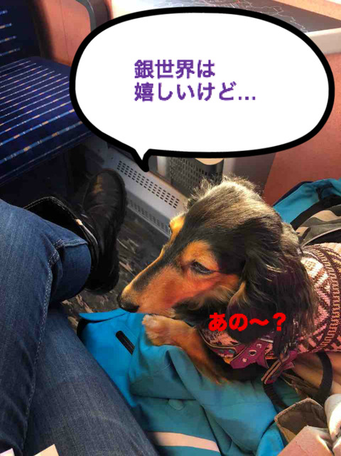 BlogPaint