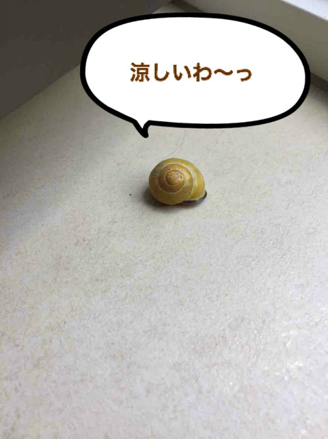 BlogPaint