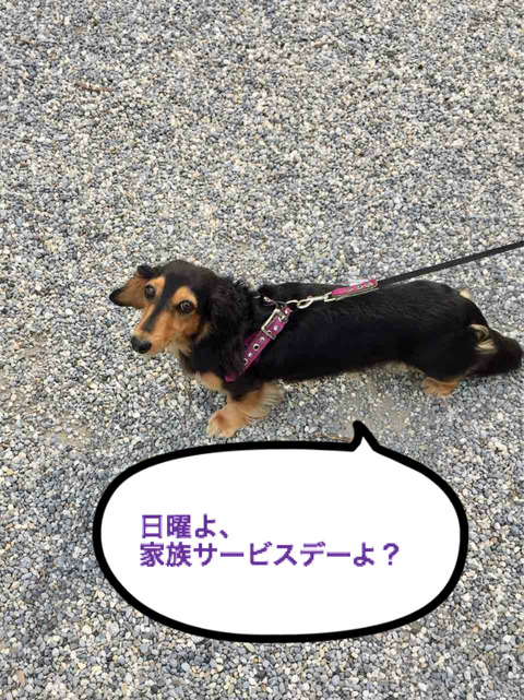 BlogPaint