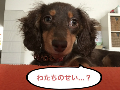 BlogPaint