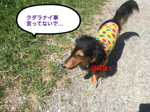 BlogPaint