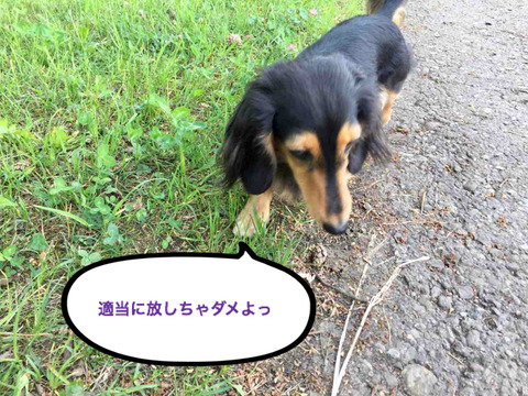 BlogPaint