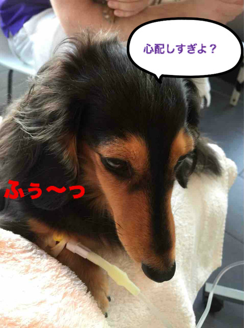 BlogPaint