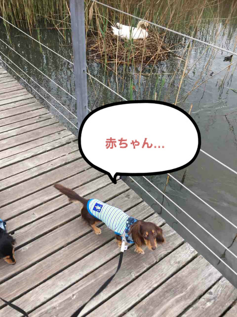 BlogPaint
