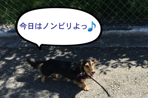 BlogPaint