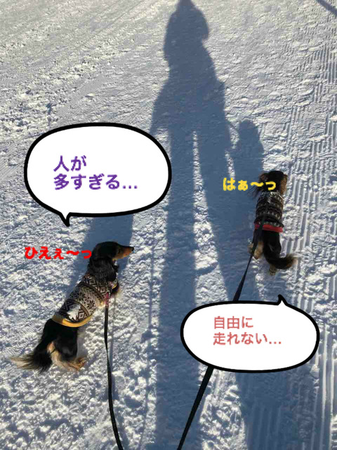 BlogPaint