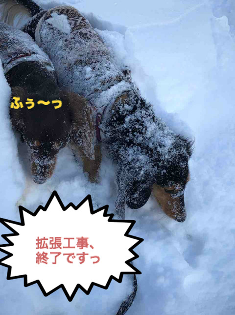 BlogPaint