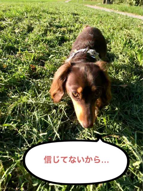 BlogPaint