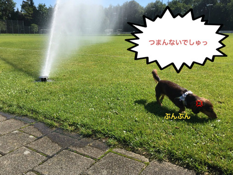 BlogPaint