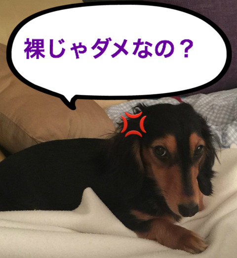 BlogPaint