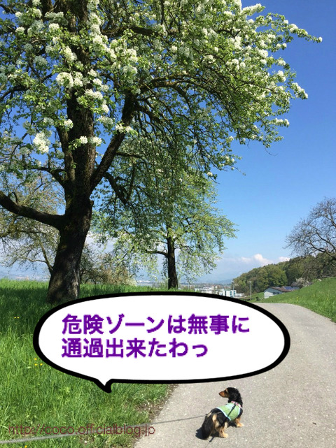 BlogPaint