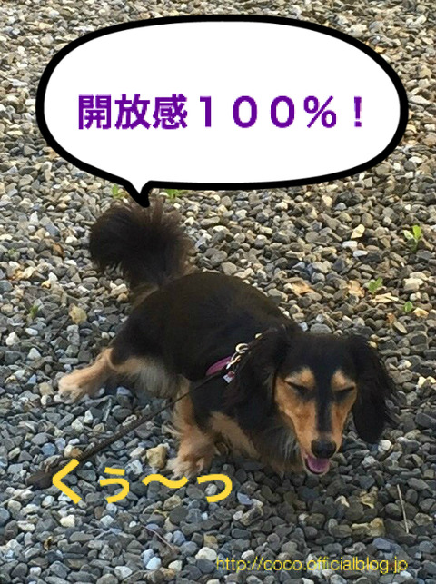 BlogPaint