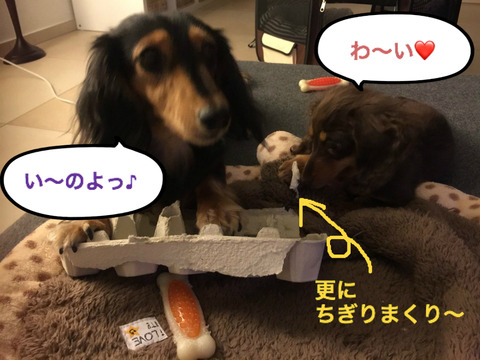 BlogPaint