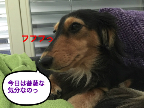 BlogPaint