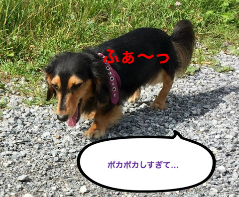 BlogPaint