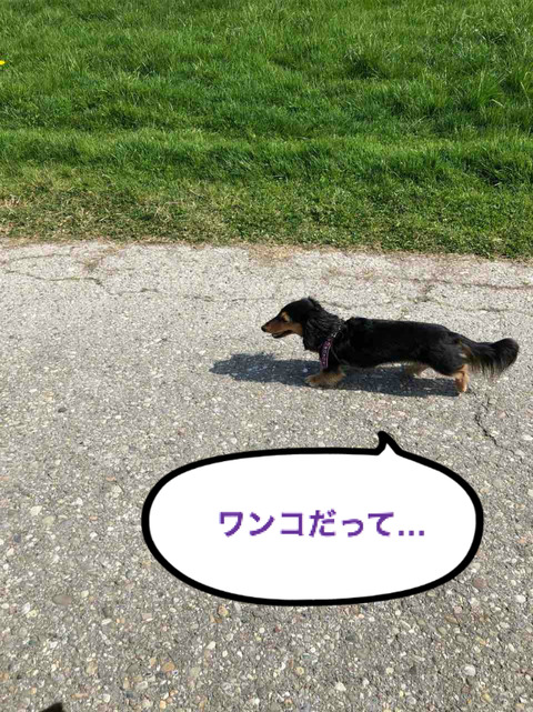 BlogPaint