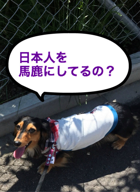 BlogPaint
