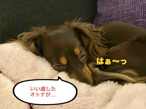 BlogPaint