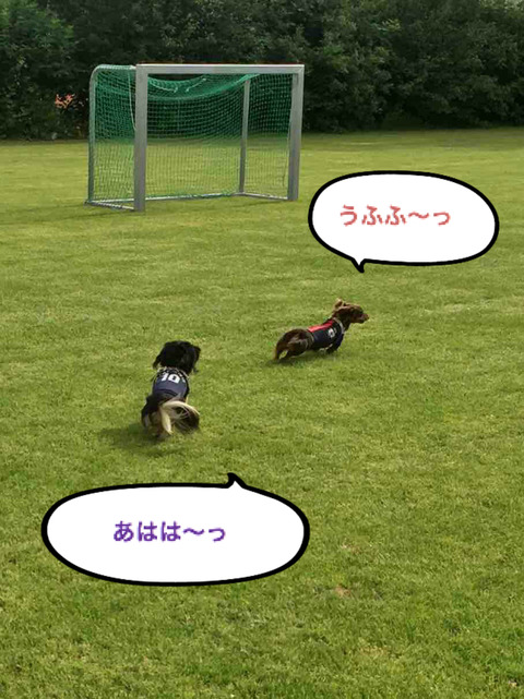 BlogPaint