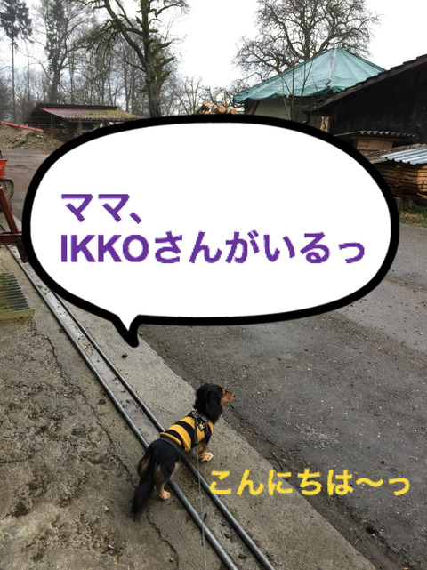 BlogPaint