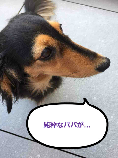 BlogPaint