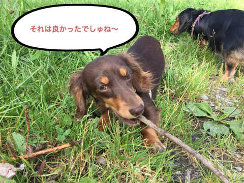 BlogPaint