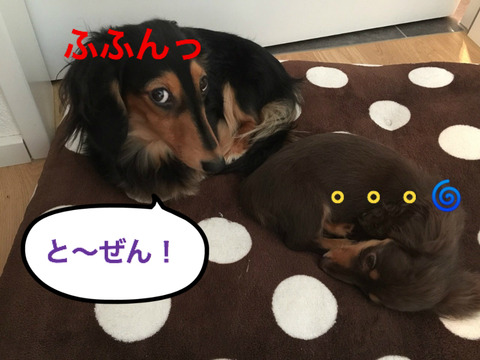 BlogPaint