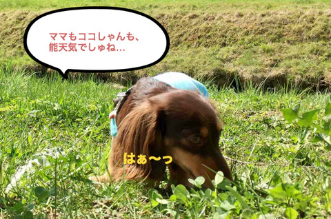 BlogPaint
