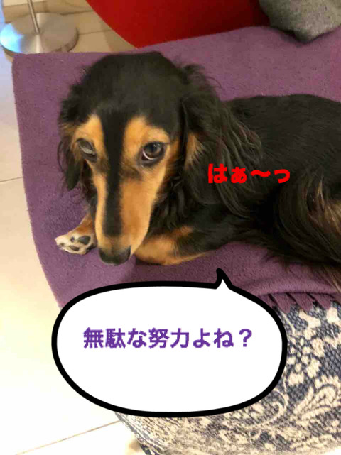 BlogPaint