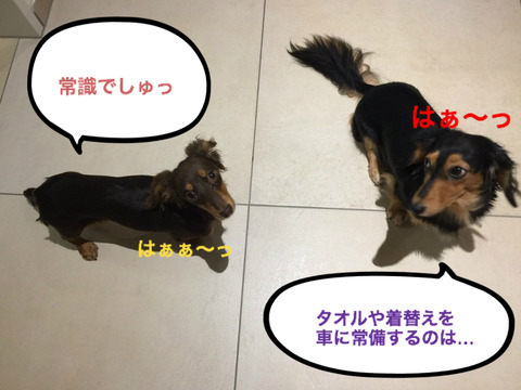 BlogPaint