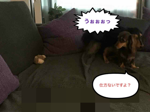 BlogPaint