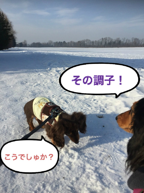 BlogPaint