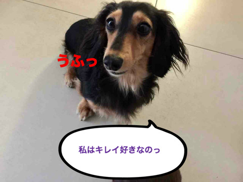 BlogPaint