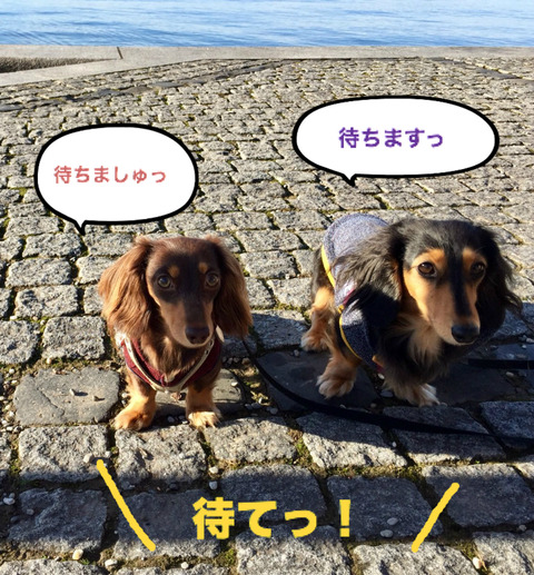 BlogPaint