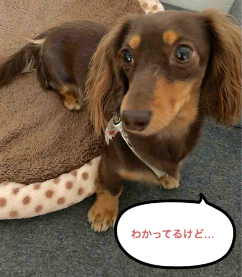 BlogPaint