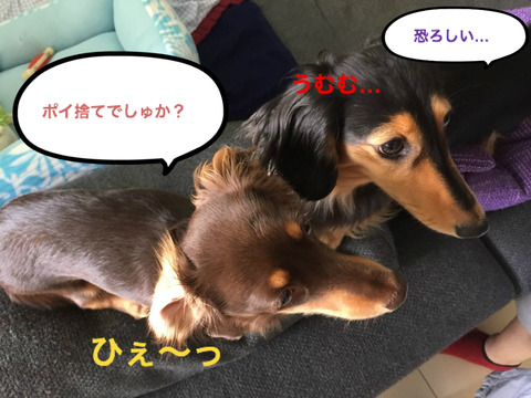 BlogPaint